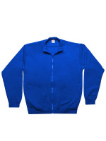 Royal blue (PMS 2145C)