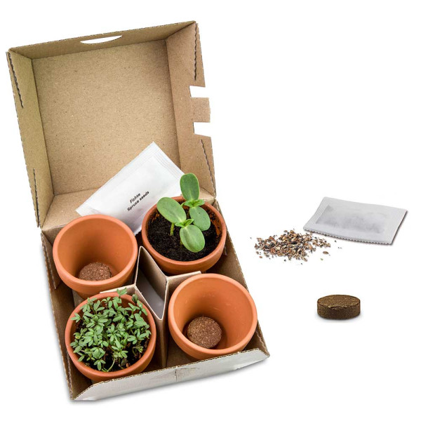 Pflanzen-Mix Winter-Set