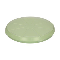 gregarious green/transparent