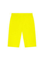 Neon yellow (PMS 809C)