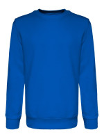 Royal blue (PMS 2145C)