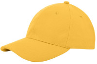 Dark Yellow (PMS 142c) / Dark Yellow