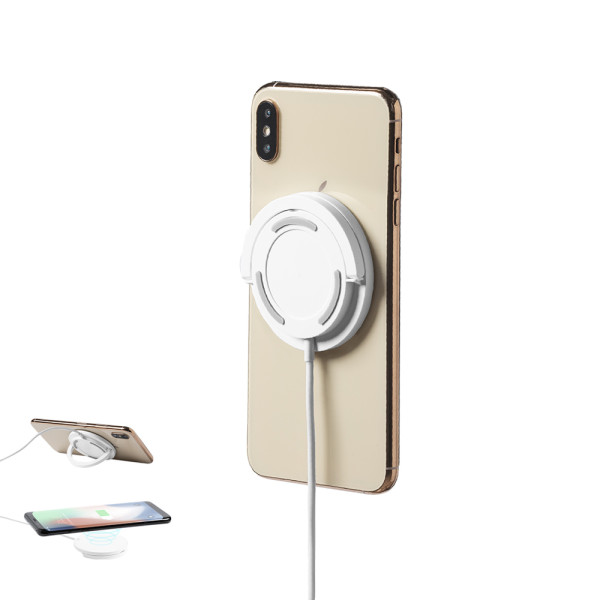 Ladegerät Dixlem RCS