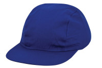 Cobalt blue (PMS 286c) / Royal Blue