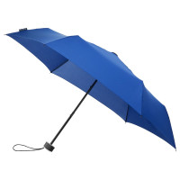 blue (± PMS 280C)