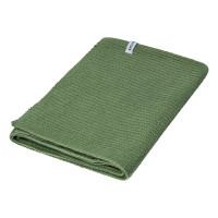 Sage Green (556C) / Sage Green