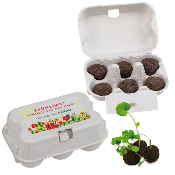 Sixpack - Flower-Balls Midi mit Samen