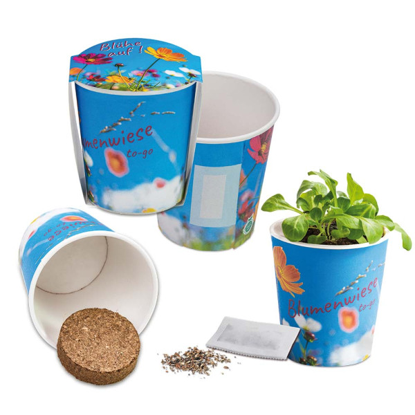 Blumenwiese To-Go - Ostern