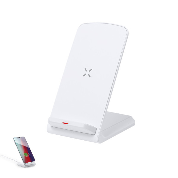 Ladegerät Tayil RCS