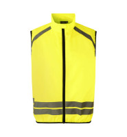 Fluorescent yellow (C-430)