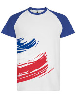 France Flag