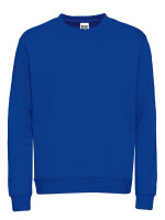 Royal blue (PMS 2145C)