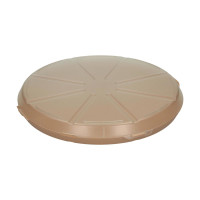 basic brown/transparent