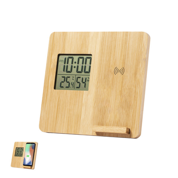 Ladegerät Wetterstation Fiory